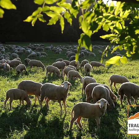 Garni In Der Breite Альбштадт